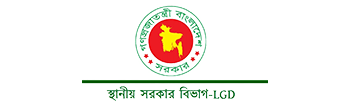 Local Government Division