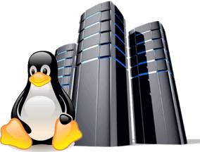 Linux Hosting