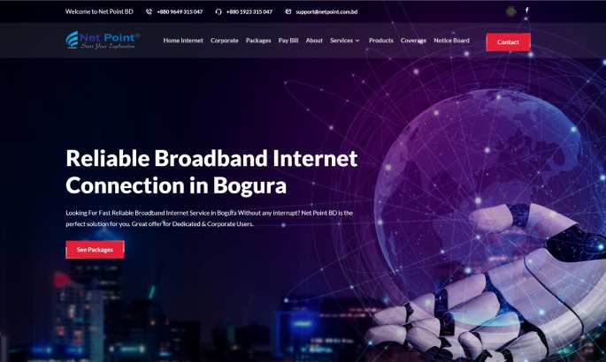 Net Point BD